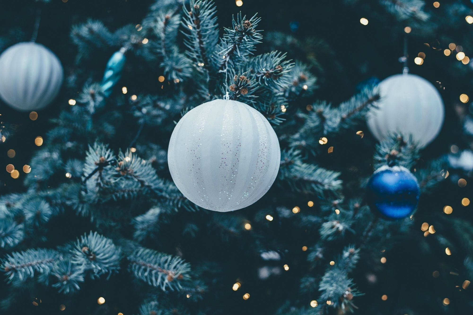 Perfect Gift Ideas Ahead of Christmas | Tegen Accessories