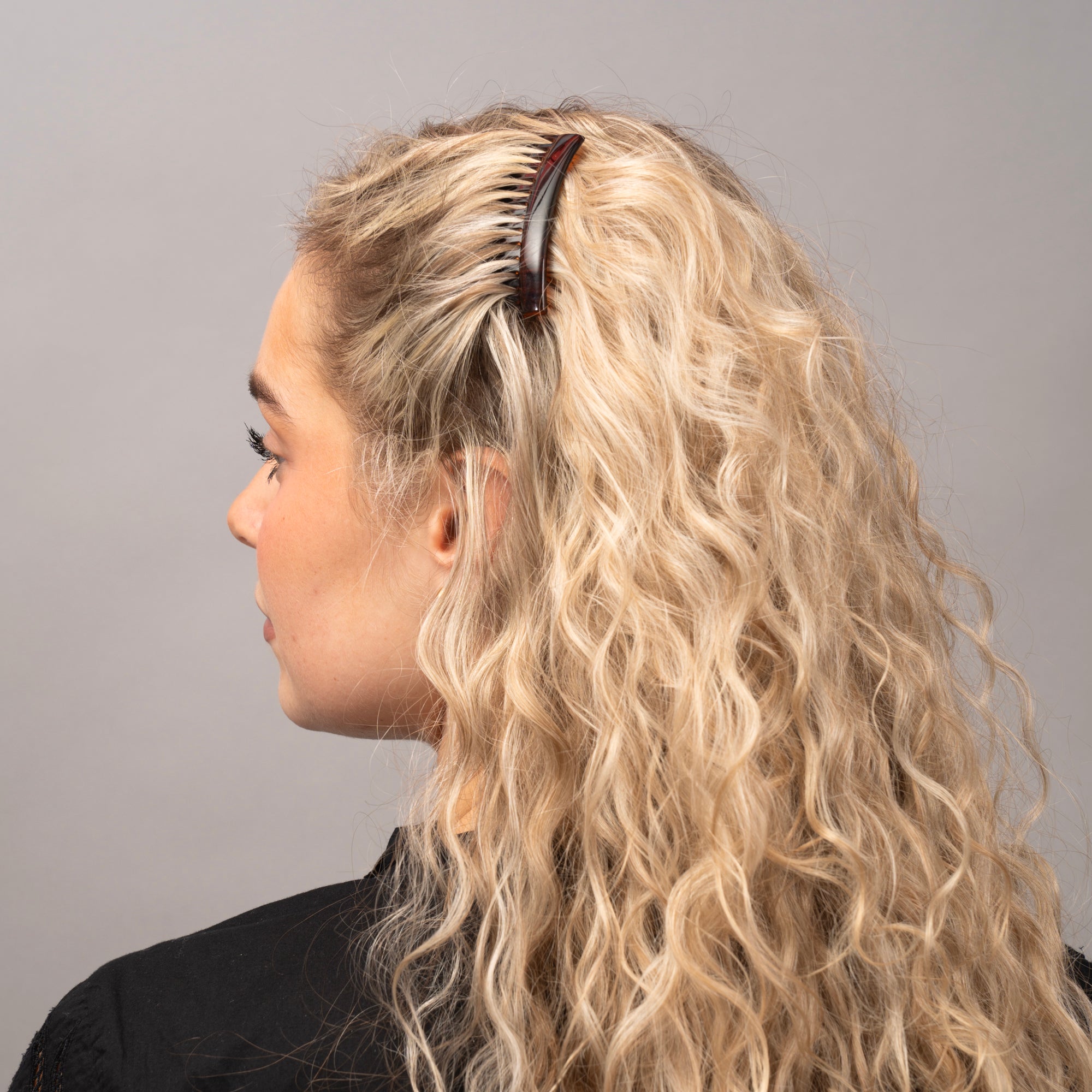 2x French Side Combs Tortoiseshell at Tegen Accessories