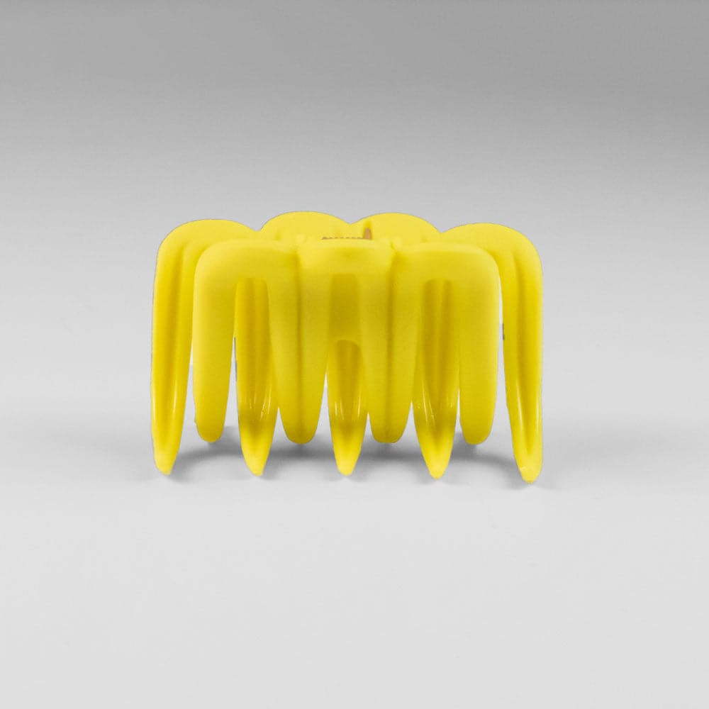 Small Summer Brights Jurassic Hair Claw Clip French Hair Accessories at Tegen Accessories |Lemon Zest