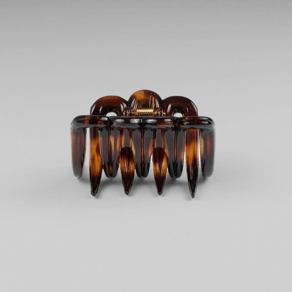 Small Jurassic Hair Claw Clip French Hair Accessories at Tegen Accessories |Tortoiseshell